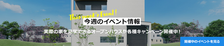 バナー登録テスト　グロフィールド