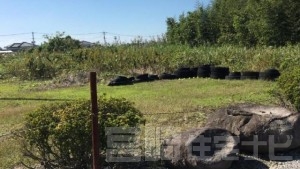 宮崎市大島町 土地 200万円