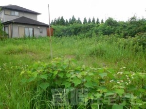 国富町（深年）