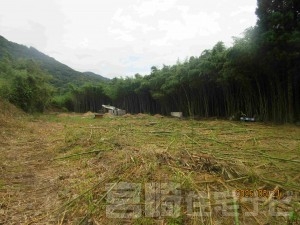2129行縢町土地1461万