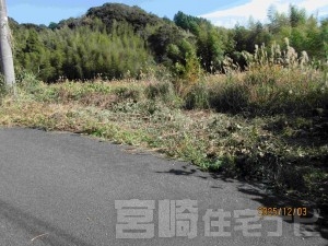 2127行縢土地700万