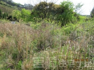 2099北川町土地750万