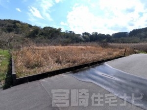 平岩土地138坪