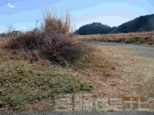 2208川島町土地1270万