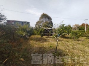 富高汐谷崎土地