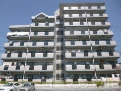 21コスモス宮崎