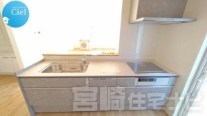 <p>キッチンは人造大理石の天板を使用。人造大理石は汚れが付きにくく、水垢も目立ちにくいので、お掃除は比較的に楽で水まわり設備に適した素材です。</p>