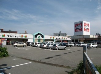 マルショク加納店